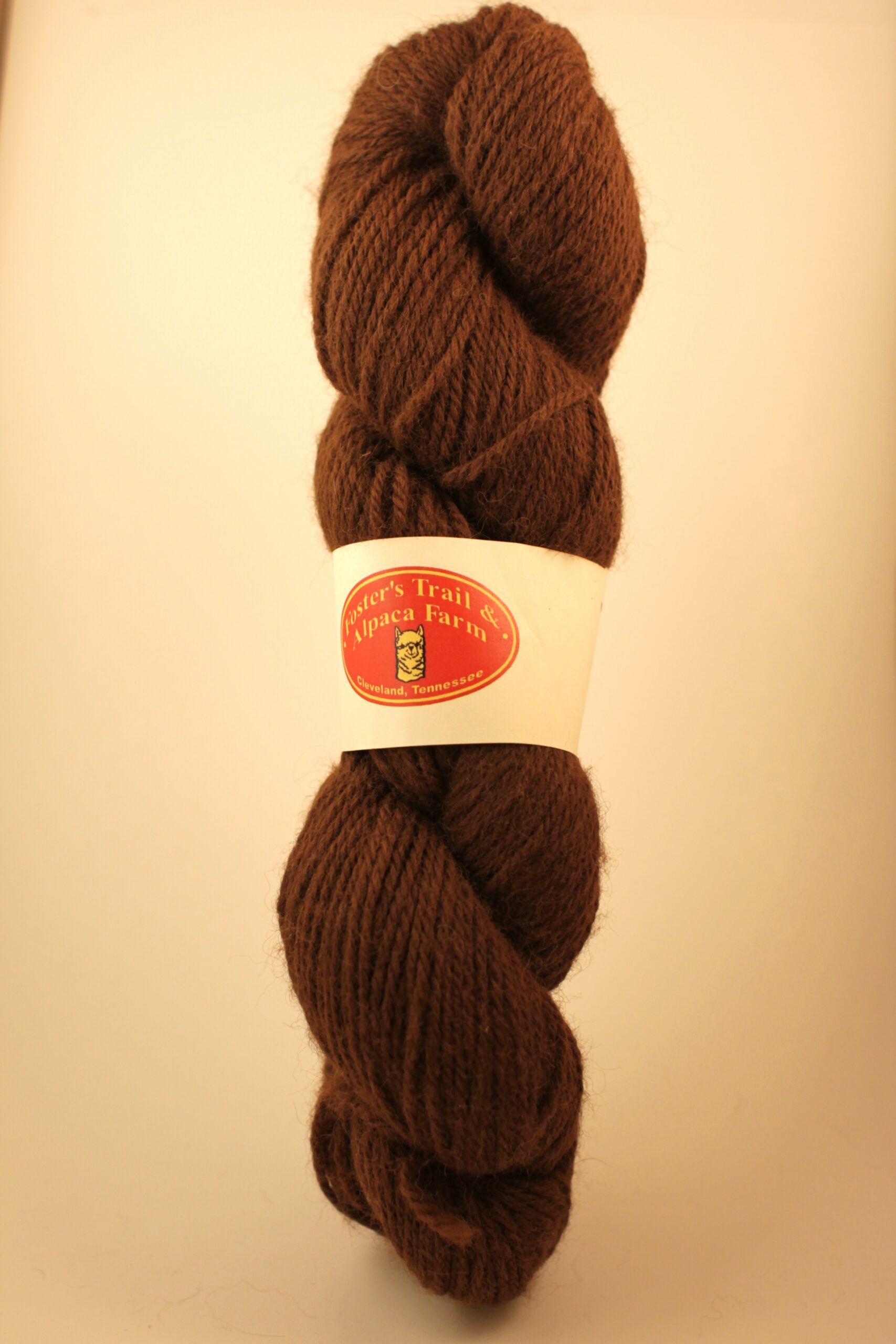 Nutmeg brown alpaca yarn skein from the alpaca Maxine of Foster's Trail & Alpaca Farm in Cleveland, Tennessee