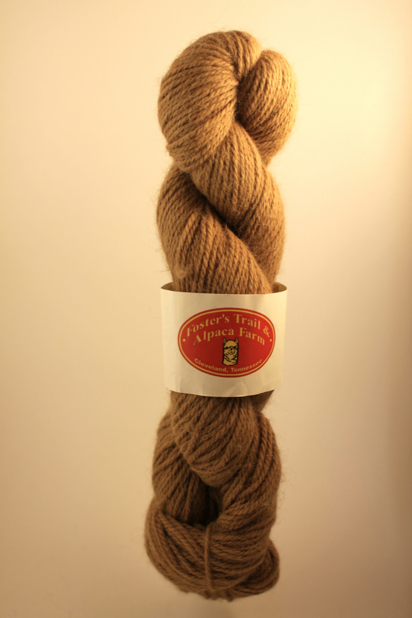 Ruddy brown alpaca yarn skein from the alpaca Maximal from Foster's Trail and Alpaca Farm in Cleveland, TN