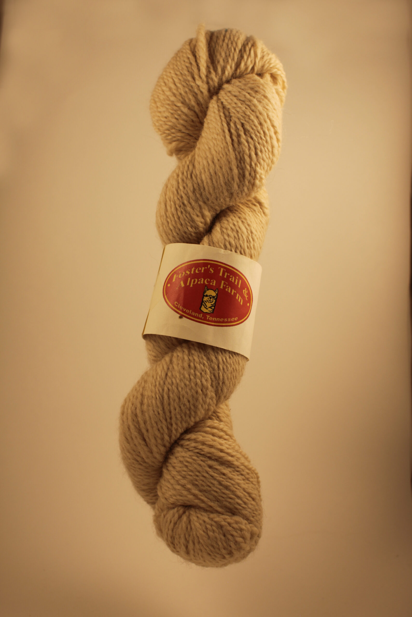 Light maize colored alpaca yarn skein blended from the alpacas Cherokee, Aphrodite and Chucky. From the Foster's Trail and Alpaca Farm from Cleveland, Tennessee.